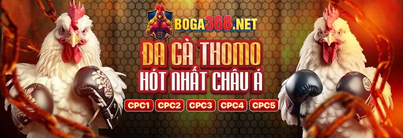 Đá Gà Trực Tiếp Onebox63 - Xem các trận đấu đỉnh cao